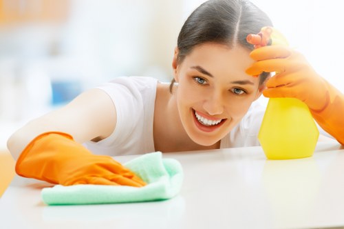 Professional domestic cleaner handling kitchen and bathroom cleaning in Tooting