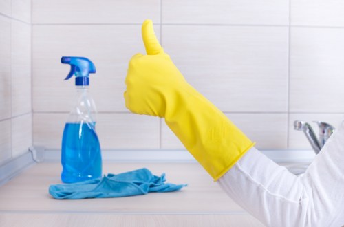 Professional carpet cleaning equipment in a Tooting property
