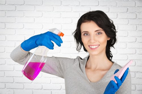 Rug dust removal and stain treatment for a Tooting household