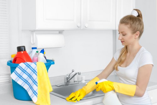 Professional pet accident cleanup for carpets and stairs in Tooting